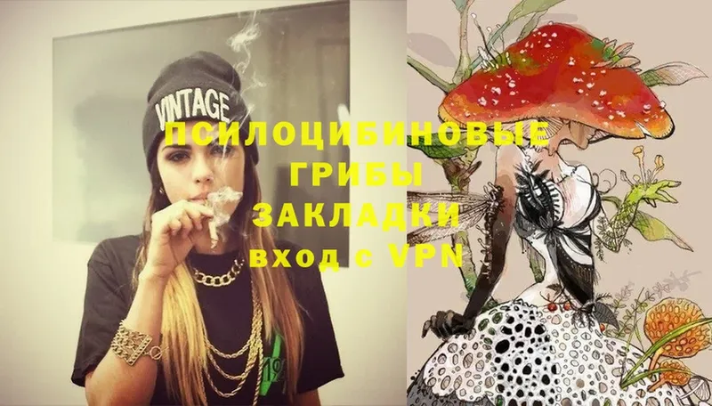 цена   KRAKEN как зайти  Псилоцибиновые грибы Magic Shrooms  Гдов 